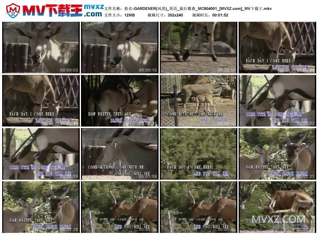 佚名-GARDENER(风景)_英语_流行歌曲_MC804001